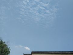 -平望服务区·停车场