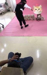 -童萌会儿童摄影(朝阳店)