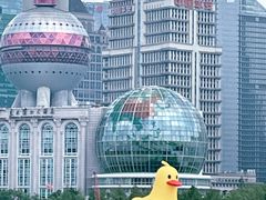 -上海滩餐厅(BFC外滩金融中心店)