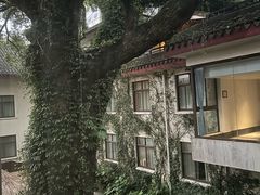 -普陀山雷迪森庄园