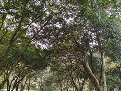 -杭州植物园
