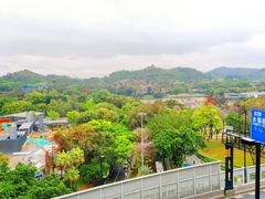 -百威KTV(恒福路店)