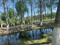 -东郊湿地公园