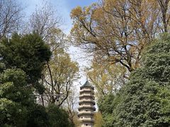 -灵谷景区