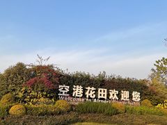 -空港花田景区