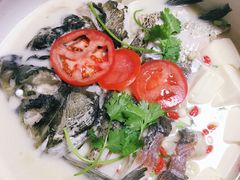 -全乐鱼馆·淳牌有机鱼直营店