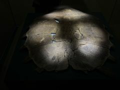 -长沙简牍博物馆