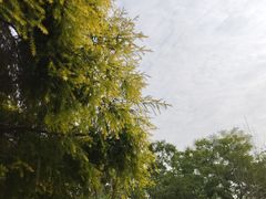 -白鹭湾湿地公园