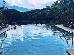 -四季酒店下午茶