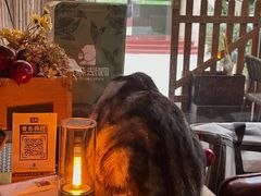 -咖法森林·咖啡  酒吧(天河店)