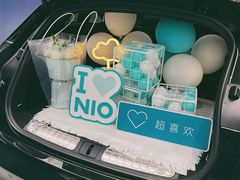-蔚来体验中心(北京亦庄店)