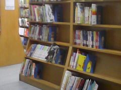 -朝阳区图书馆(小庄店)
