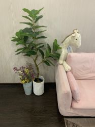 -Hi Skin皮肤管理中心