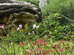 -国家植物园南园