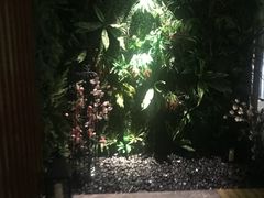 -BODHI SOCIETY足疗(燕郊国道店)
