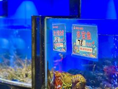 -明香海鲜酒家(华强北店)