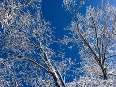 -庙香山滑雪场