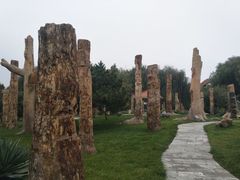-石家庄市植物园
