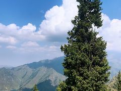 -盛德圆(五台山云龙店)