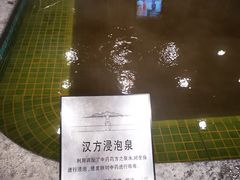 -和园景逸大酒店朗月汤泉