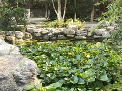-莲湖公园