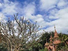 -曼听御花园