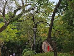 -乌山风景区