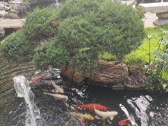 -聚福宝合苑食府(南头镇店)