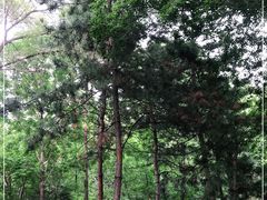 -北陵公园