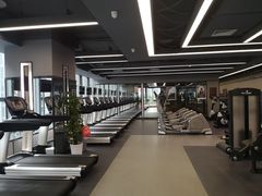 -金吉鸟健身游泳