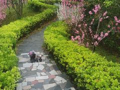 -南汇桃花村