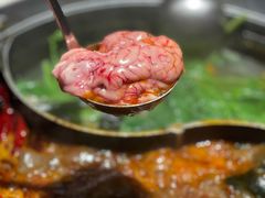 -川西坝子(老军营店)