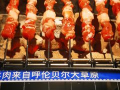 -很久以前羊肉串(农科路店)