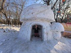 -沈阳奥体冰雪嘉年华