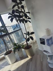 -HEYAN荷妍专业脱毛连锁机构
