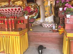 -芦芽山旅游度假区