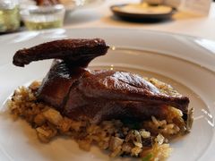 乳鸽-三号黄浦会Canton Table