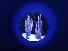 -欢乐海岸海洋奇梦馆