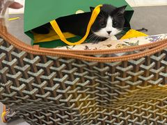 -GOYARD(恒隆广场店)
