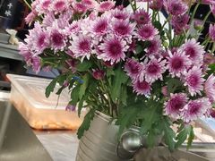 -甄花精致料理自助(城市阳台店)