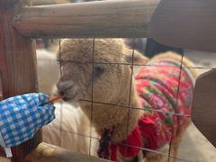 -茅山东方盐湖城景区