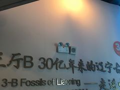 -辽宁古生物博物馆