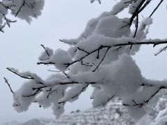 -蟠龙山长城景区