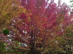 -辽宁大学(崇山校区)