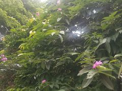 -万达广场(东莞厚街店)