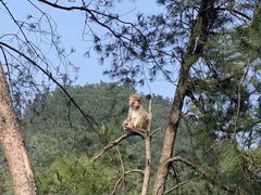 -重庆雨台山风景区