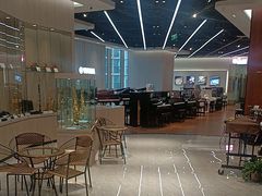 -知音艺术教育培训·钢琴培训·音乐培训(河西金鹰世界校区)