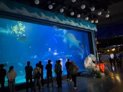 -烟台海昌鲸鲨海洋公园