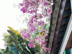 -深圳国际园林花卉博览园