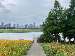 -洋湖国家湿地公园